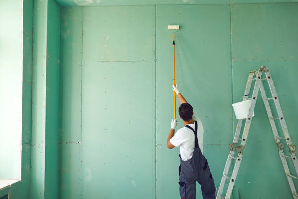 Mold Remediation for Rental Properties in Evanston, IL