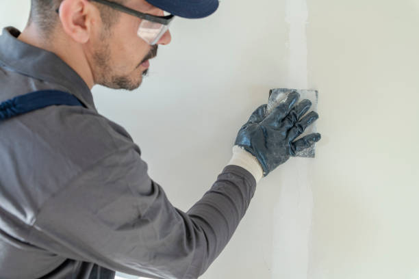 Best Post-Remediation Verification Testing  in Evanston, IL