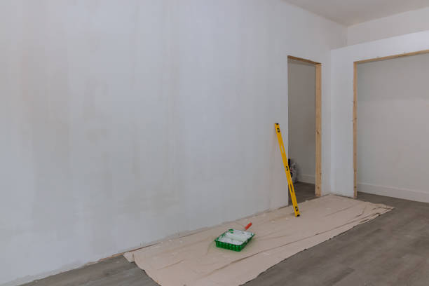 Best Black Mold Removal  in Evanston, IL