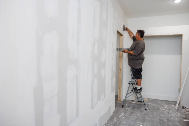Best Mold Documentation for Insurance Claims  in Evanston, IL