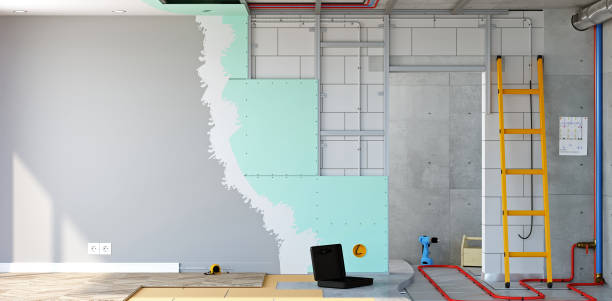 Professional Mold Removal in Evanston, IL