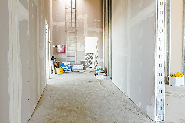 Best Air Quality Testing for Mold Spores  in Evanston, IL