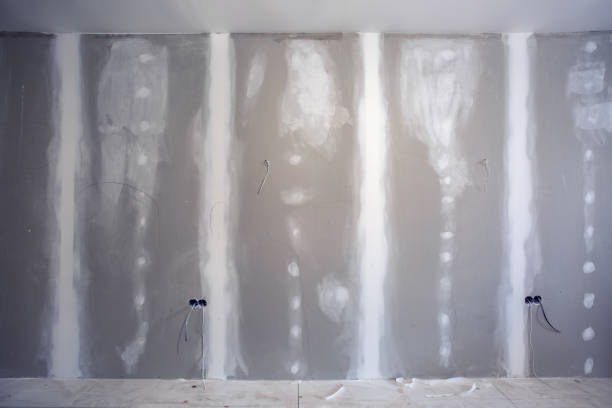 Best Mold Odor Removal Services  in Evanston, IL